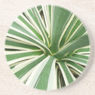 Agave Plant Green en White Striped Zandsteen Onderzetter