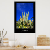 Agave Plant Poster, afdrukken Poster (Keuken)