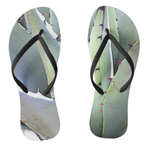 Agave Plant Succulent Blauwe Cactussen Tequila Woe Teenslippers