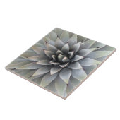 Agave Plant Succulent Blue Cacti botanische woesti Tegeltje (Zijkant)