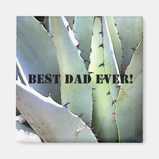 Agave Plant Succulent Blue Cacti Tequila woestijn Magneet