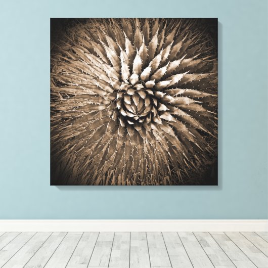 Agave Spikes Sepia Imprimer sur toile 22" x 22" (Insitu (Plancher de Bois))