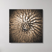 Agave Spikes Sepia Print op Canvas 22" x 22" (Voorkant)