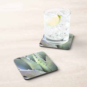 Agave Succulent Plant Cactus Green Bier Onderzetter