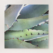 Agave Succulent Plant Cactus Green Legpuzzel (Horizontaal)