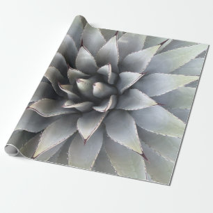 Agave Succulent Plant Cactus Green sage Cadeaupapier