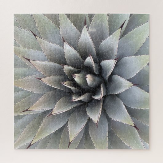 Agave Succulent Plant Cactus Green sage Legpuzzel (Verticaal)