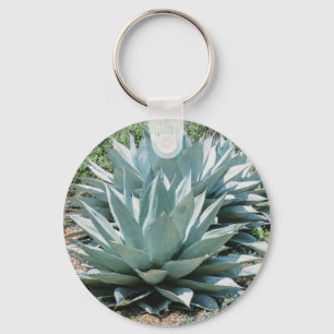 Agave Succulent Plant Cactus Green sage Sleutelhanger