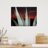 Agave Sunset Poster (Keuken)