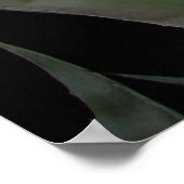 Agave Sunset Poster (Hoek)