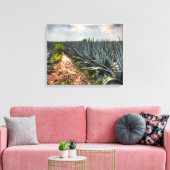 Agave Tequilana Canvas Afdruk (Insitu (Woonkamer))