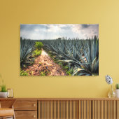 Agave Tequilana Canvas Afdruk (Insitu (Woonkamer))