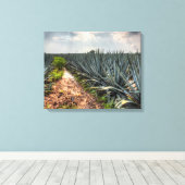 Agave Tequilana Canvas Afdruk (Insitu (Houten vloer))
