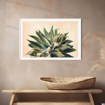 Agave Waterverf schilderij Zuidwesten Sage Groen