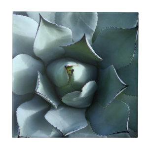 agaveblauw tegeltje
