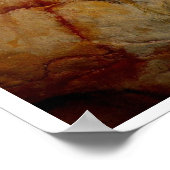 Âge de pierre Altamira Bison Buffalo Poster (Coin)