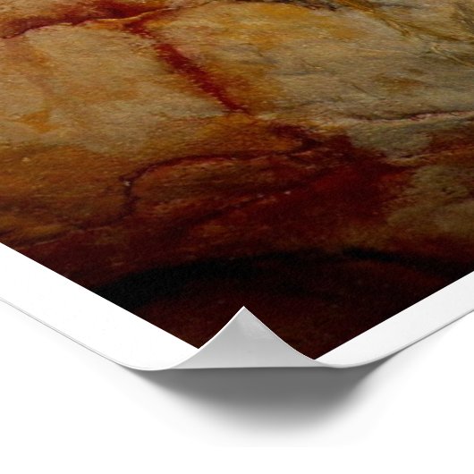 Âge de pierre Altamira Bison Buffalo Poster (Coin)