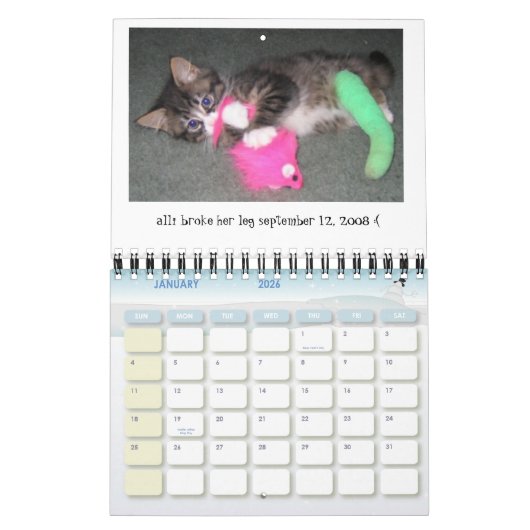 Agenda 2009-2010 van Alli's Day Mini Kalender (Jan 2026)