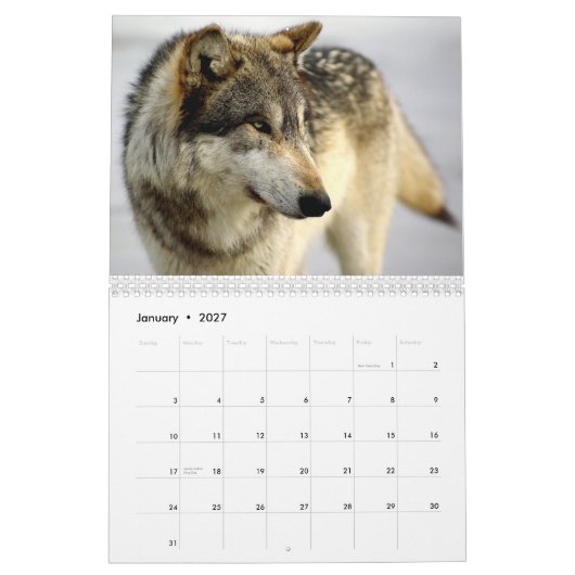 Agenda 2009 kalender (Jan 2027)