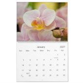 Agenda 2009 kalender (Jan 2027)