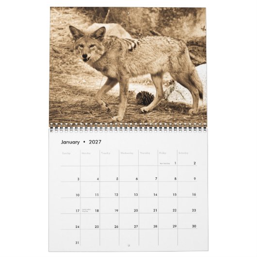 Agenda 2009 kalender (Jan 2027)