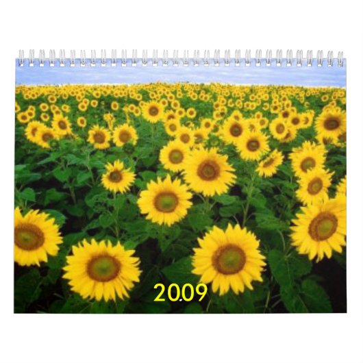 Agenda 2009 kalender (Hoes)