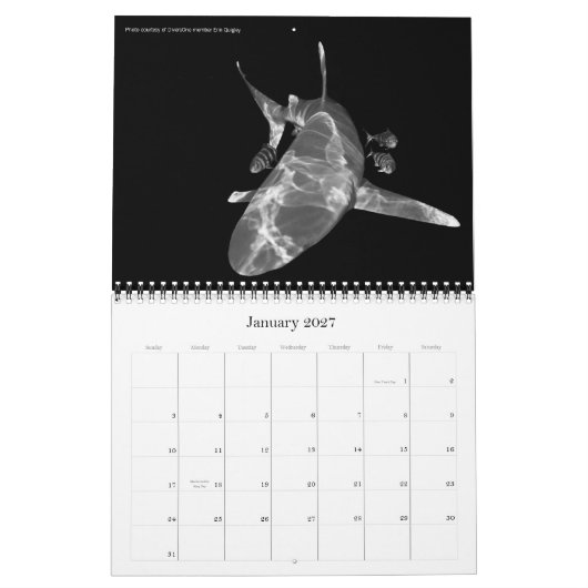 Agenda 2010 Best of DiversOne Underwater Photos Kalender (Jan 2027)