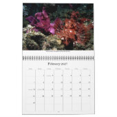 Agenda 2010 Best of DiversOne Underwater Photos Kalender (Feb 2027)