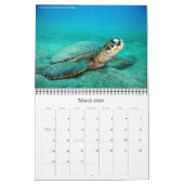 Agenda 2010 Best of DiversOne Underwater Photos Kalender (Mar 2026)