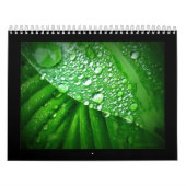 Agenda 2010 kalender (Hoes)