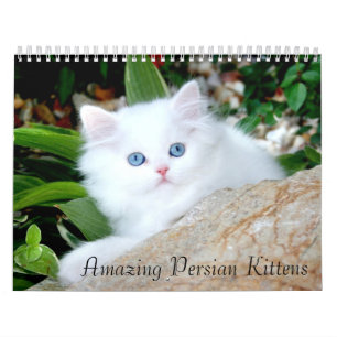 Agenda 2010 van Cozy Kittens - Gepersonaliseerd Kalender