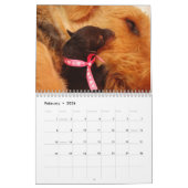 Agenda 2011 Airedale Terrier Kalender (Feb 2026)