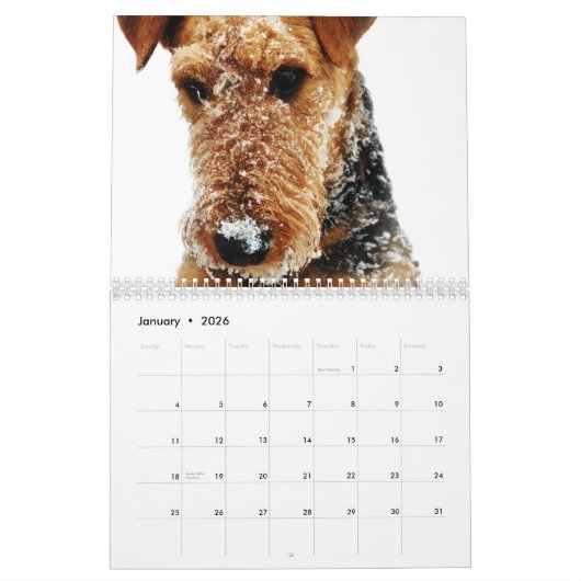 Agenda 2011 Airedale Terrier Kalender (Jan 2026)