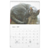 Agenda 2011 kalender (Mar 2027)