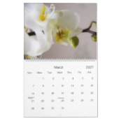 Agenda 2011 kalender (Mar 2027)