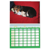 Agenda 2011 kalender (Mar 2027)
