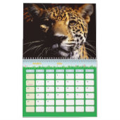 Agenda 2011-luipaarden kalender (Mar 2026)