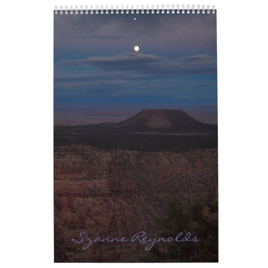 Agenda 2011 van S'zanne Reynolds Kalender (Hoes)