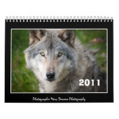 Agenda 2011 wolf kalender (Hoes)