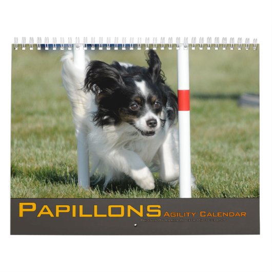 Agenda 2012 Papillons AGility Kalender (Hoes)