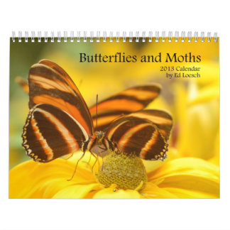 Agenda 2013 - Butterflies and Moths Kalender