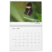Agenda 2013 - Butterflies and Moths Kalender (Mar 2027)