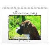 Agenda 2013 kalender (Hoes)