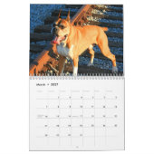 Agenda 2013 kalender (Mar 2027)