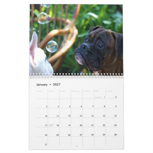 Agenda 2013 kalender (Jan 2027)
