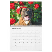 Agenda 2013 kalender (Feb 2027)