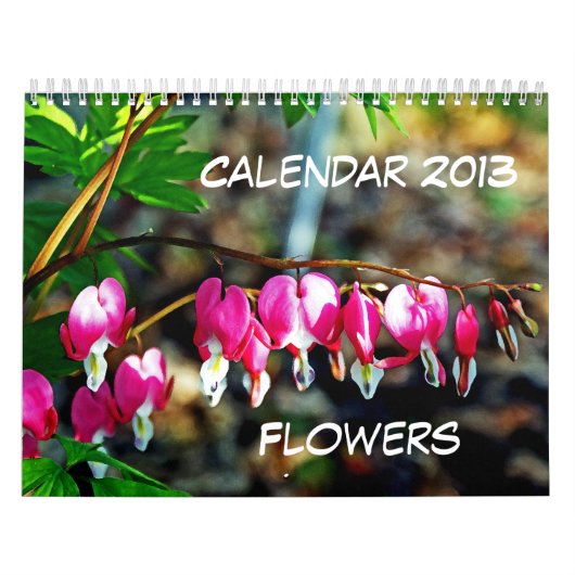 Agenda 2013 kalender (Hoes)