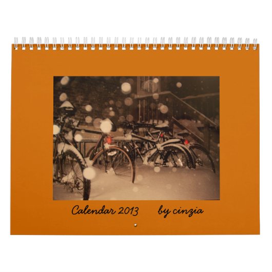 Agenda 2013 kalender (Hoes)