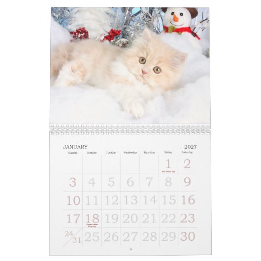 Agenda 2013 kalender (Jan 2027)
