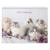 Agenda 2013 kalender (Hoes)